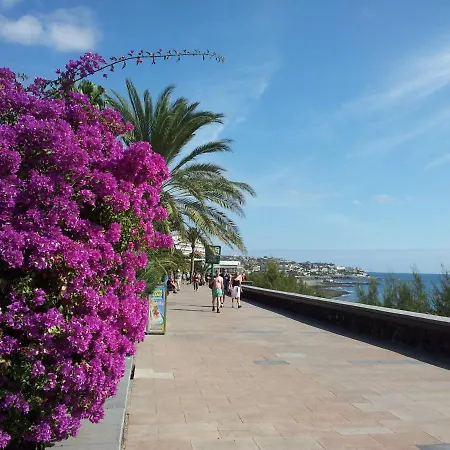 Horizonte * 플라야 델 잉글스