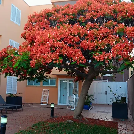 Horizonte * 플라야 델 잉글스