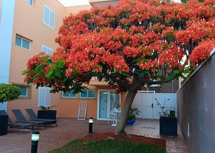 Horizonte * Плайя-дель-Инглес